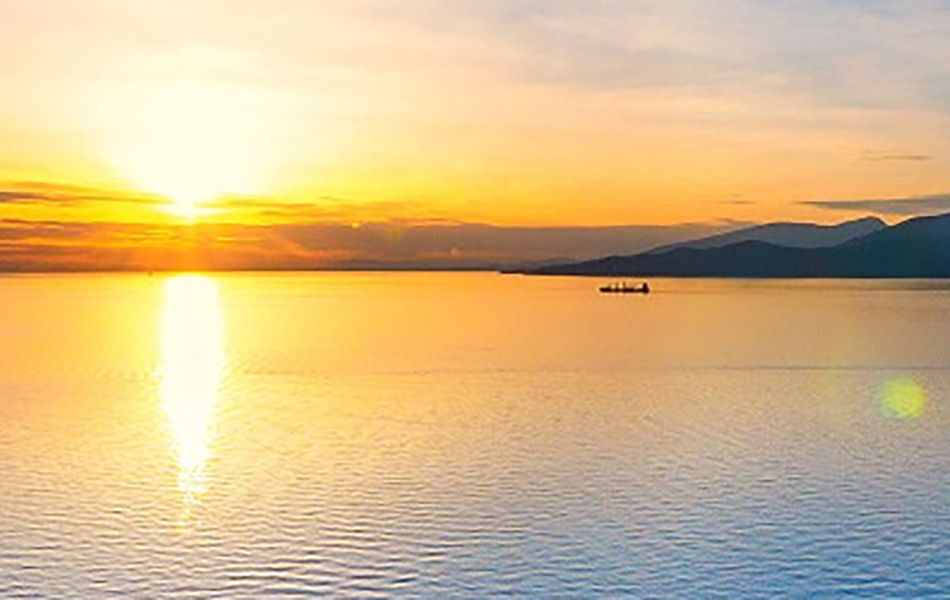 Annual Conference on African Linguistics