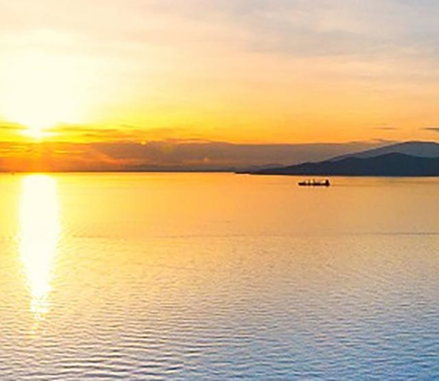 Annual Conference on African Linguistics