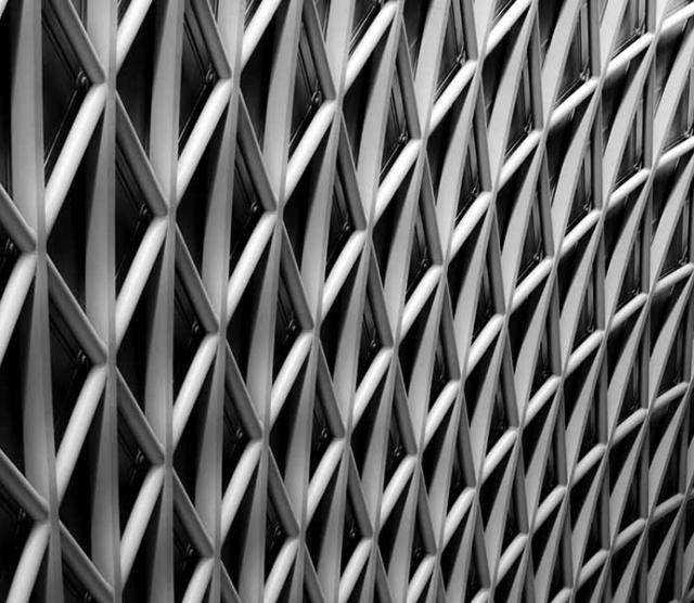A black and white image of a latticed wall